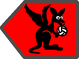 Flying Kangaroos - Die Volleyballabteilung des TSV-Pfaffenrots